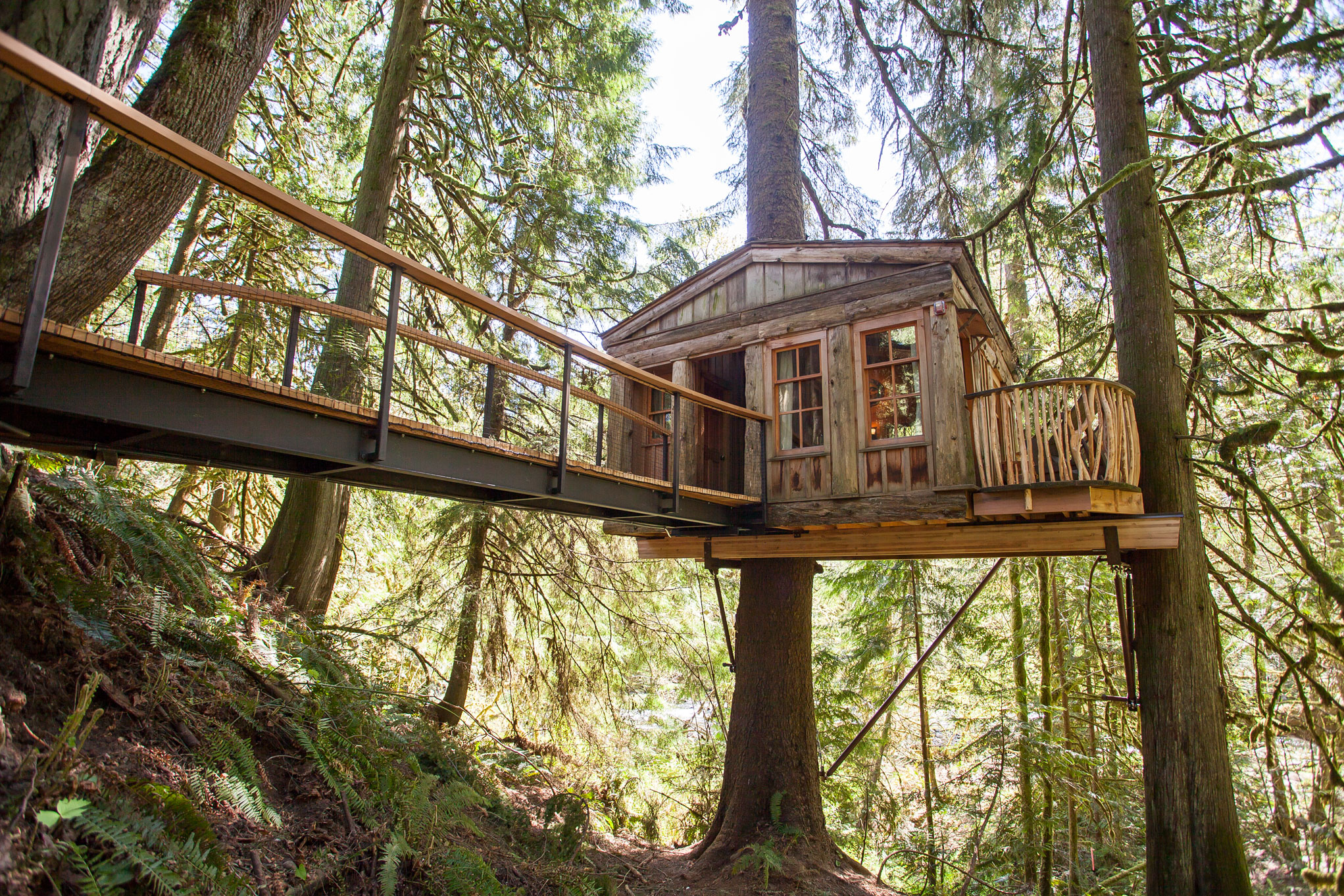 Wooden tree house situated in the middle of the forest