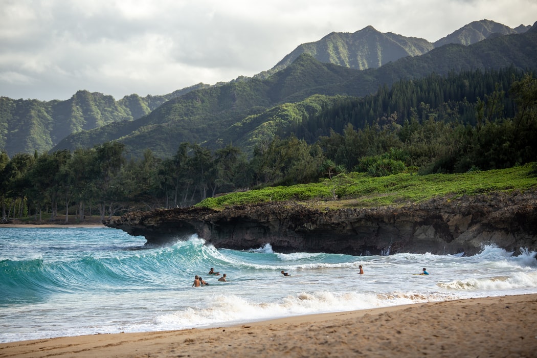 The beautiful waves of O'ahu beach and watch local surfers 