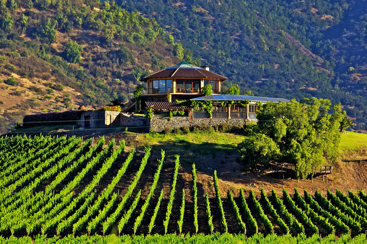 Colchagua Valley Wine.